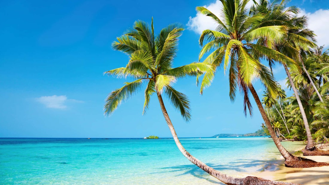 tropical-beach-wallpaper-palm-trees-1920×1080