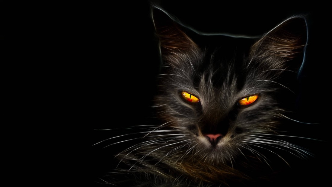 black-cat-glowing-amber-eyes-wallpaper-1920×1080