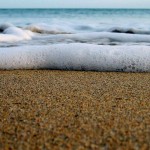 Nature wallpaper preview