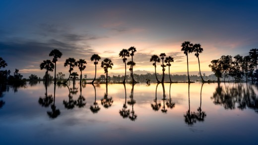 palm-trees-wallpaper-reflections-sunset-lake-5120×2880