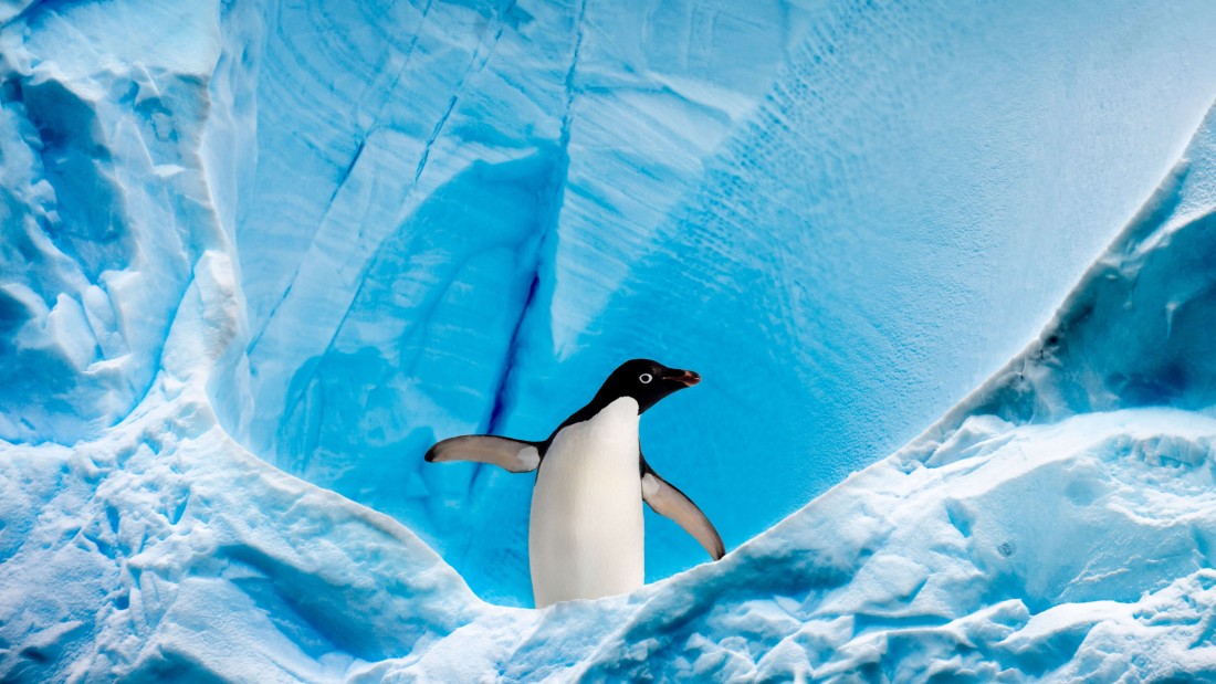 penguin-wallpaper-blue-ice-glacier-4k-3840×2160