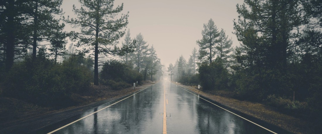 rainy-forest-road-wallpaper-3840×1600