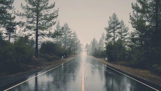 rainy-forest-road-wallpaper-3840×1600