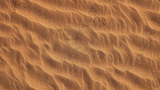 sand-footprints-dune-texture-wallpaper-3840×2400