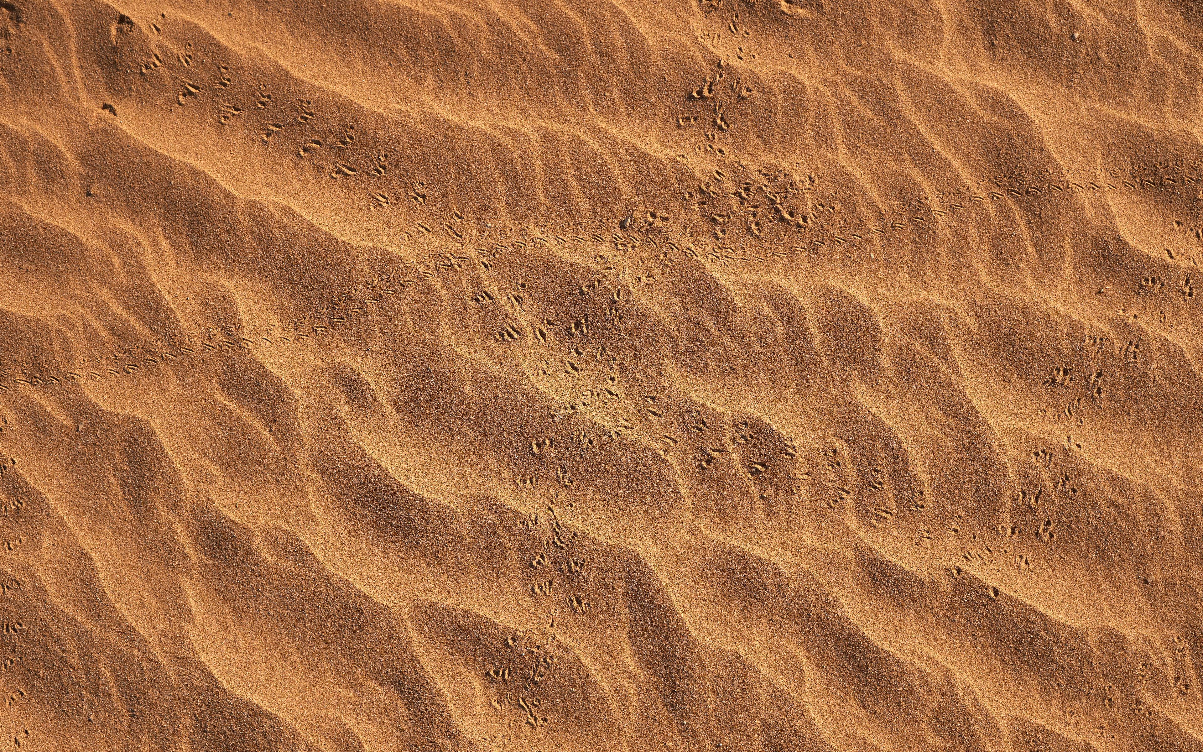 Sand Footprints Texture Wallpaper – free HD wallpaper