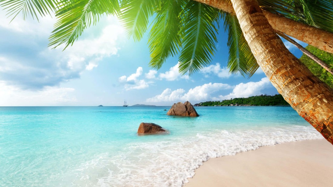 tropical-beach-wallpaper-palm-turquoise-ocean-1920×1080