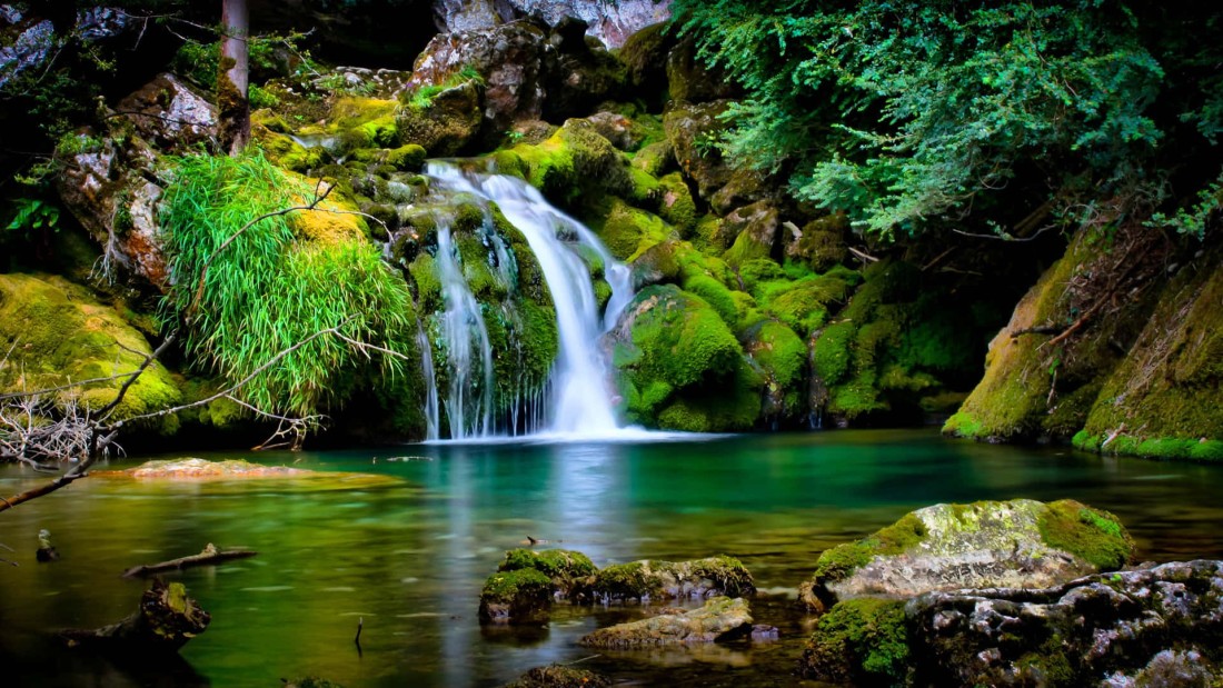 forest-waterfall-mossy-green-pool-wallpaper-1920×1080