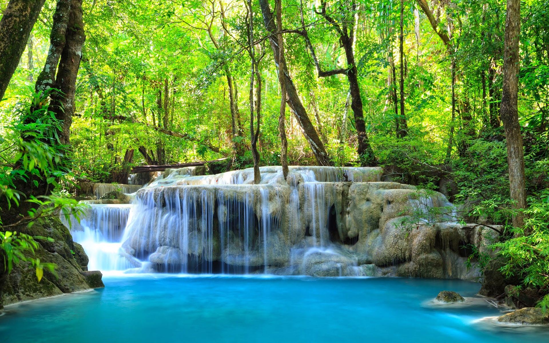 Tropical Forest Waterfall Wallpaper