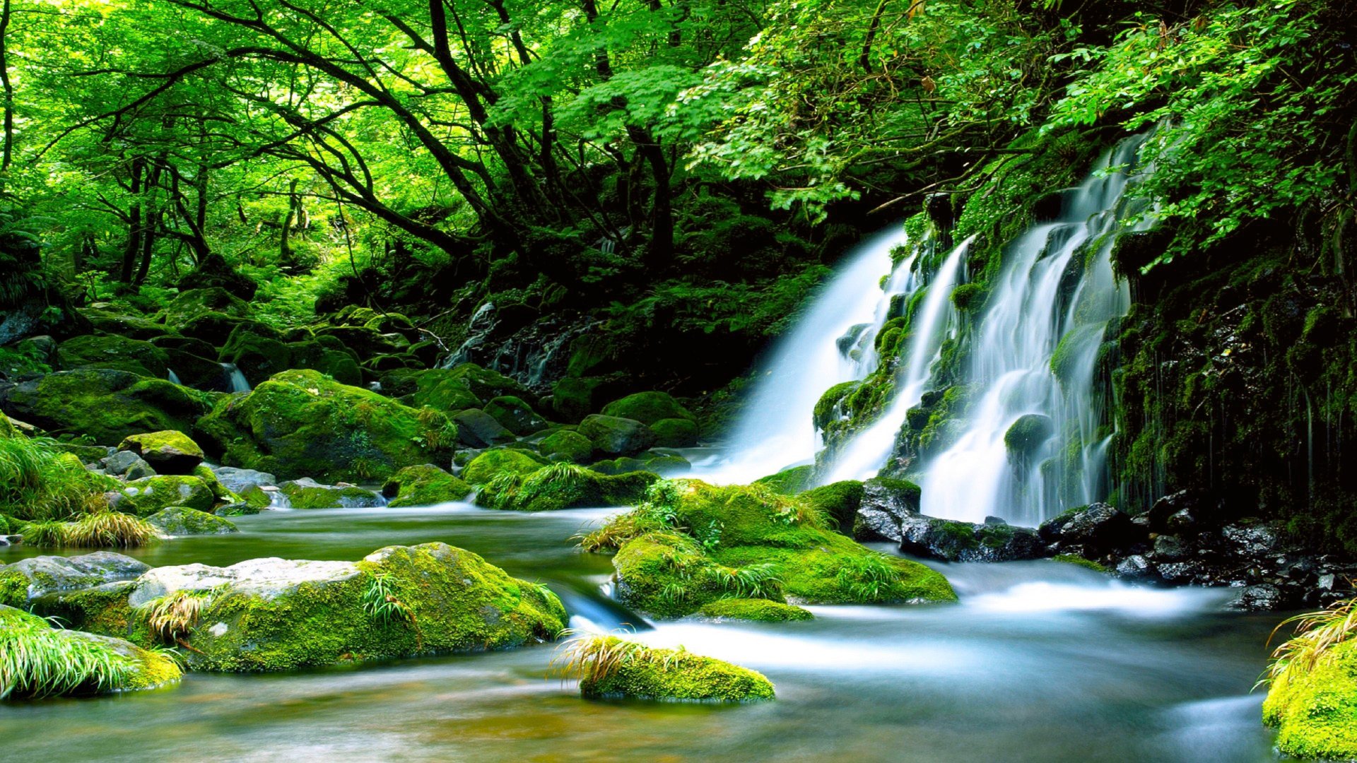 Mossy Forest Waterfall Wallpaper