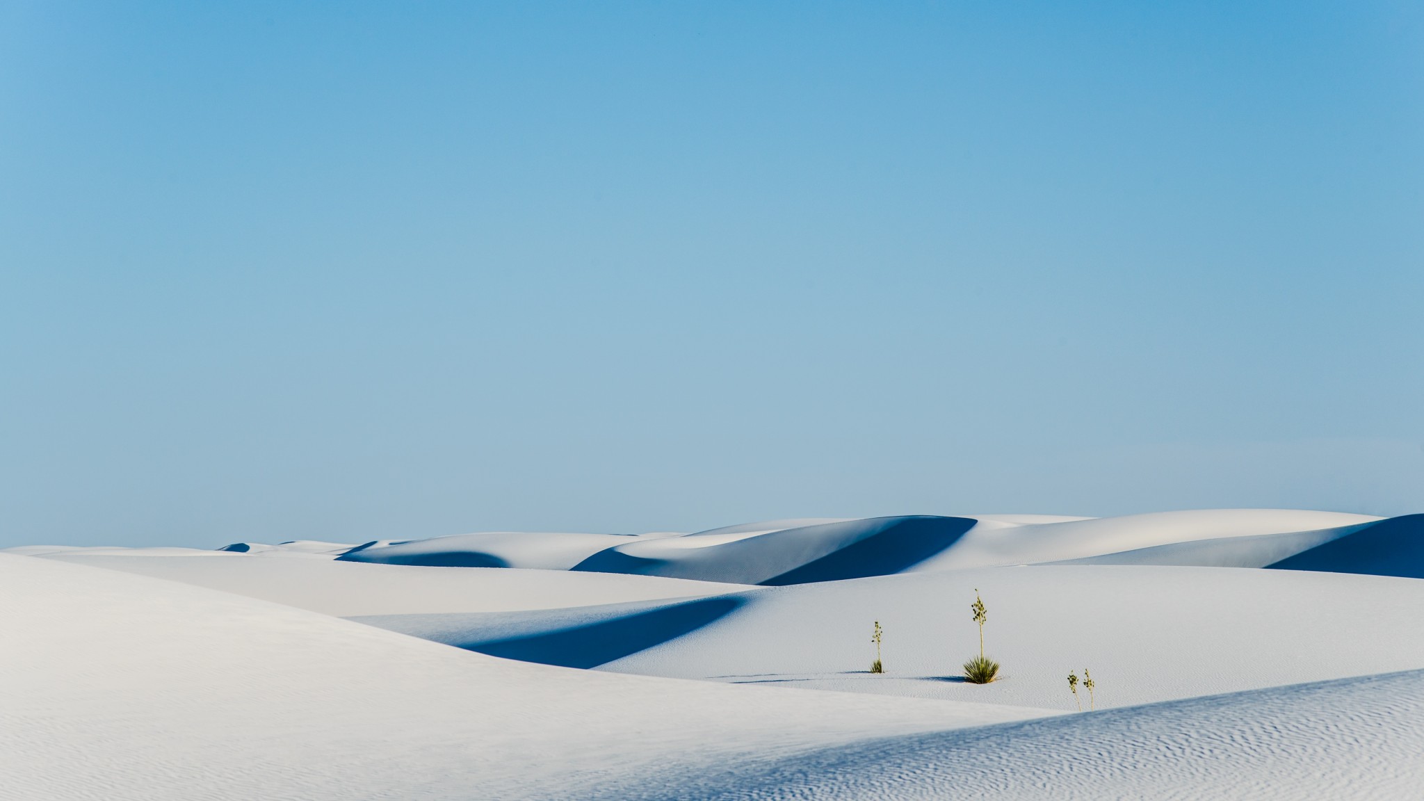 White Sand Dunes Wallpaper