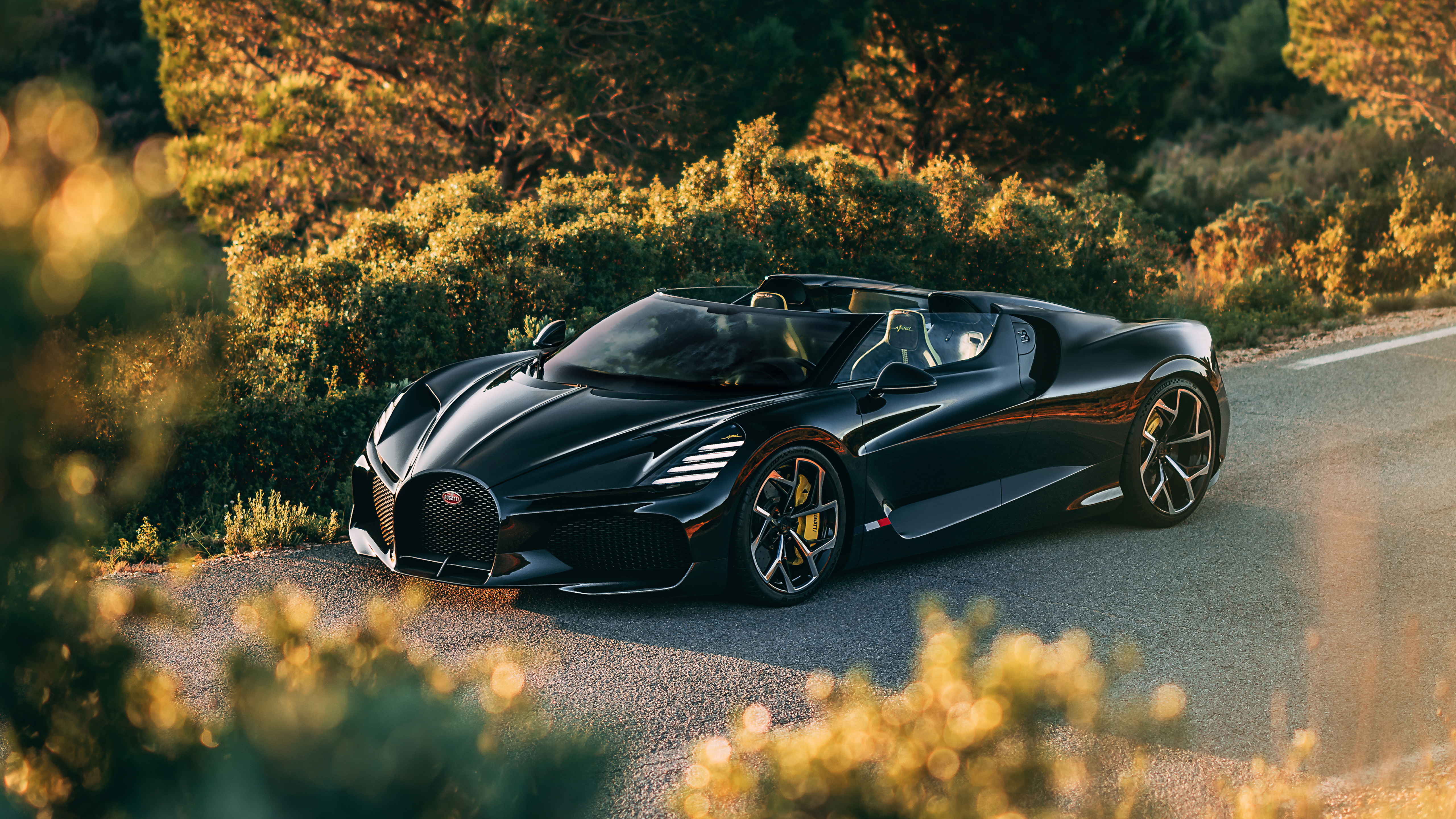 Black Bugatti Roadster Forest Drive Wallpaper – free HD wallpaper