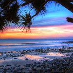 Nature wallpaper preview