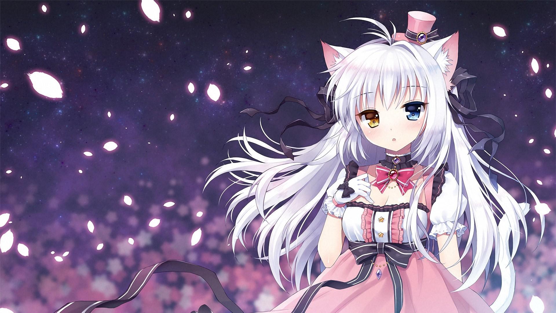 Cute White Hair Anime Cat Girl Wallpaper