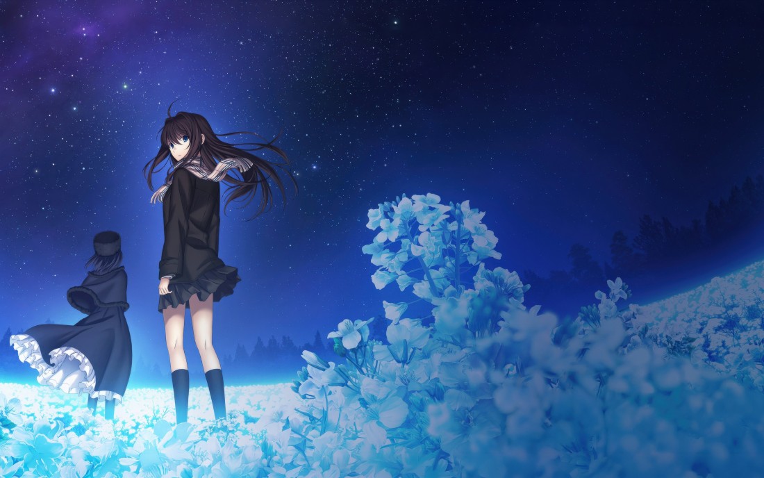 starlit-anime-flower-field-wallpaper-3800×2400