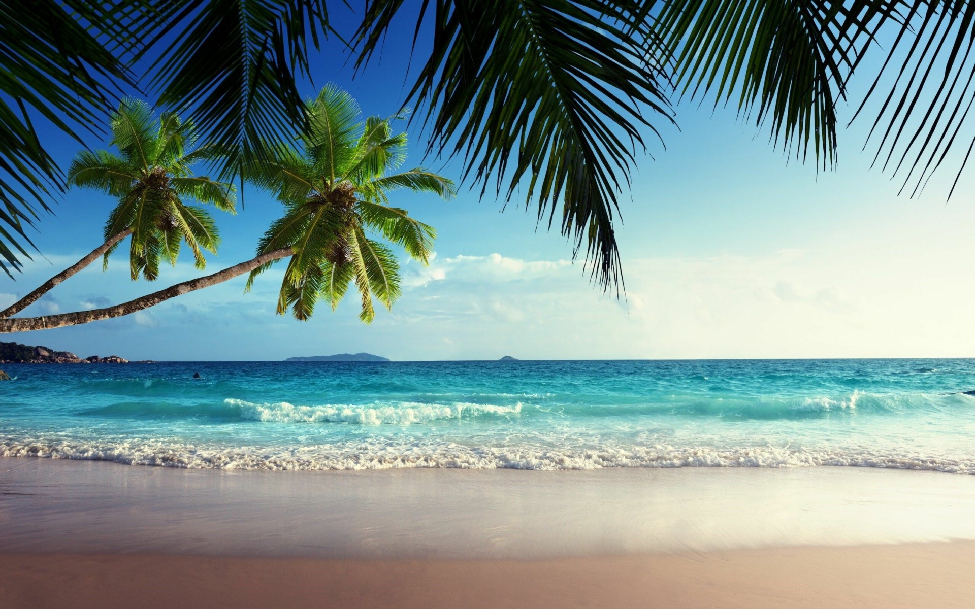 Tropical Beach Palm Trees Ocean View Wallpaper – free HD wallpaper