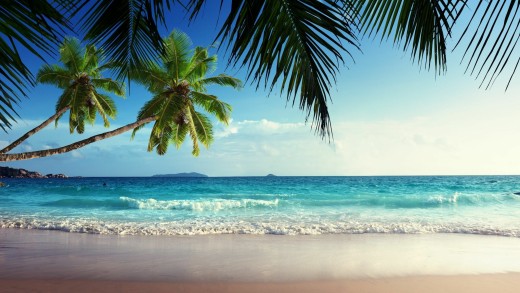 tropical-beach-palm-trees-ocean-wallpaper-2560×1600