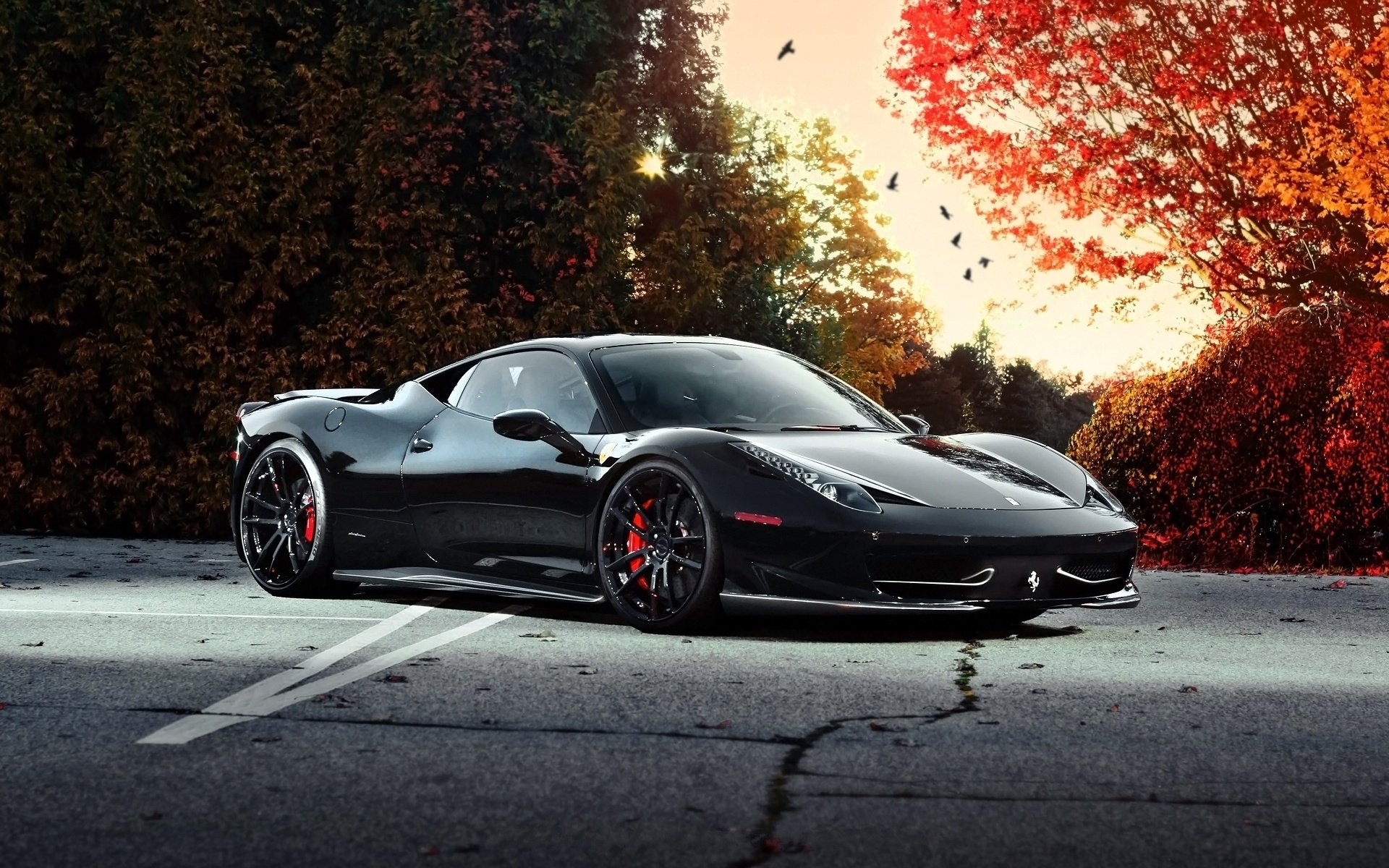 Black Ferrari Autumn Forest Wallpaper