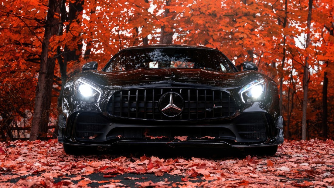 mercedes-amg-gtr-autumn-forest-wallpaper-5120×2880