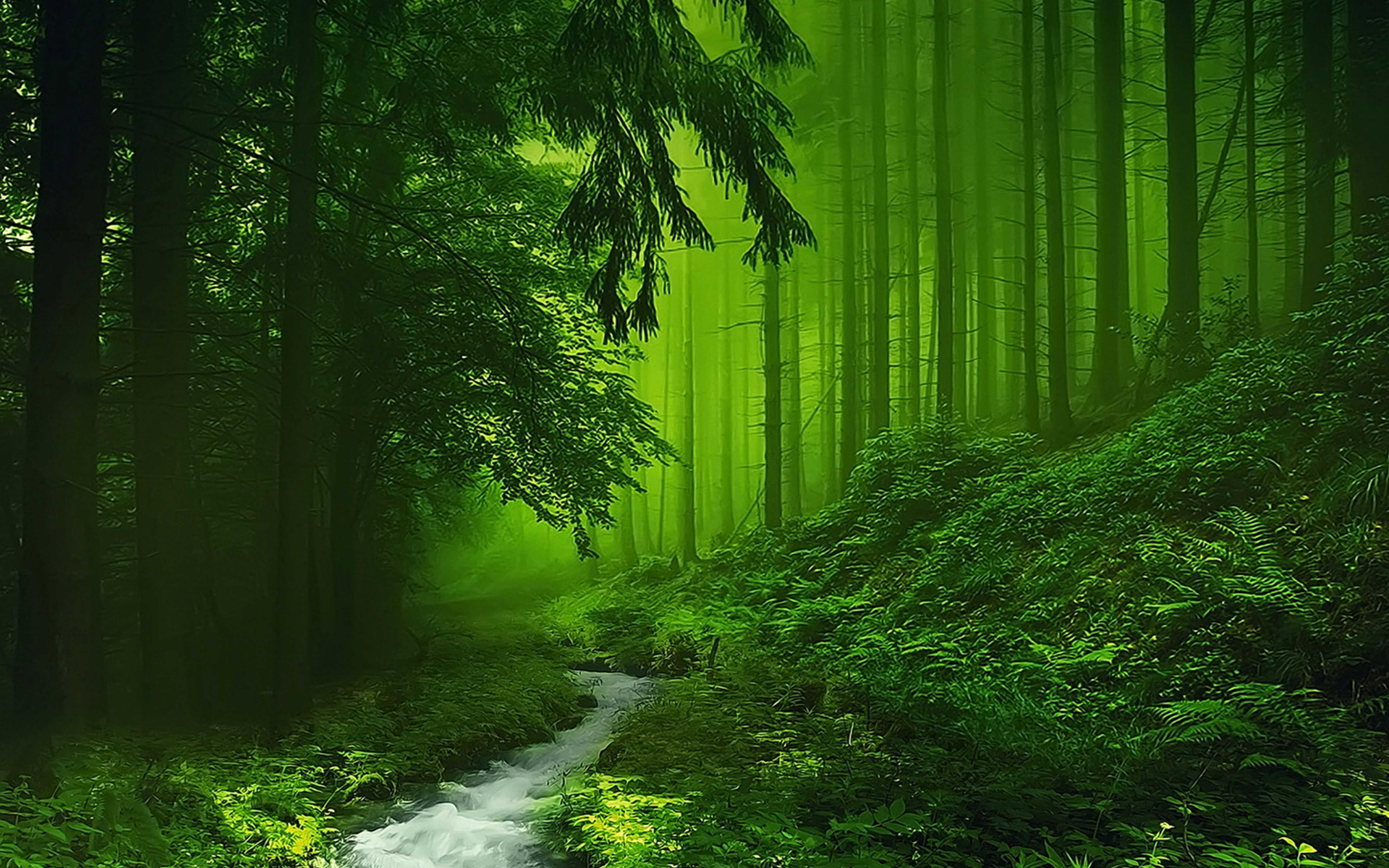 Misty Green Forest Stream Wallpaper