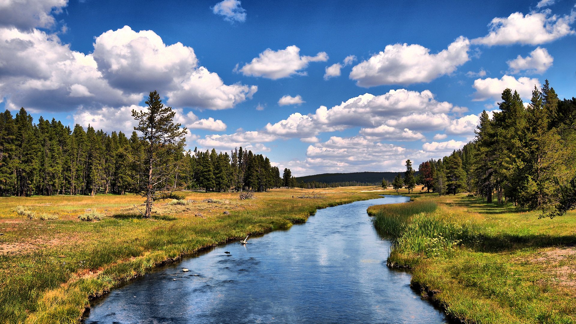 Peaceful Meadow River Landscape Wallpaper