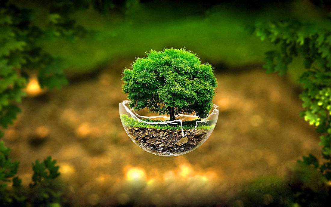 tree-in-glass-sphere-wallpaper-1920×1200
