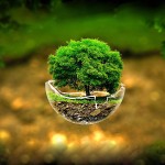 Nature collection preview