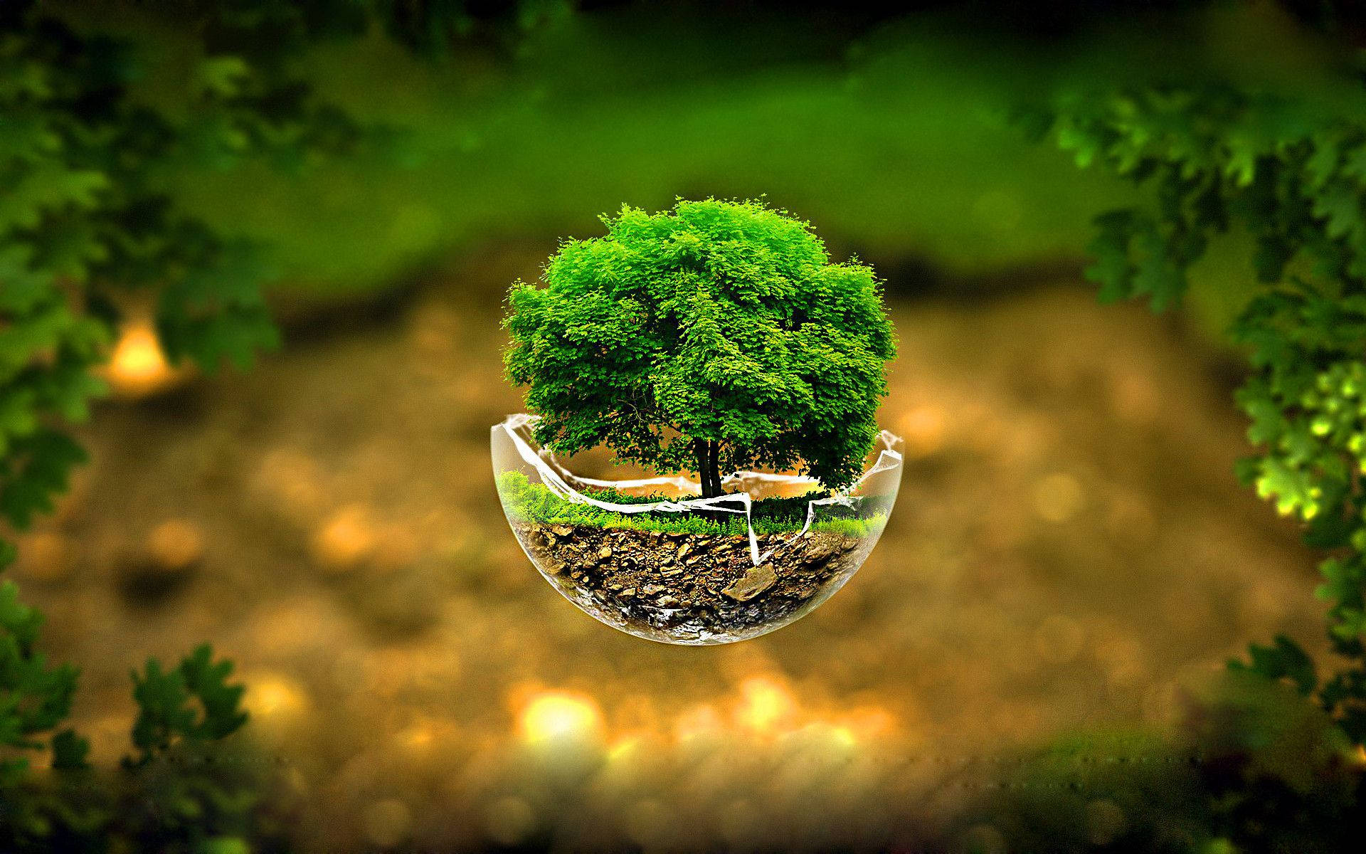 Tree in Glass Sphere Wallpaper