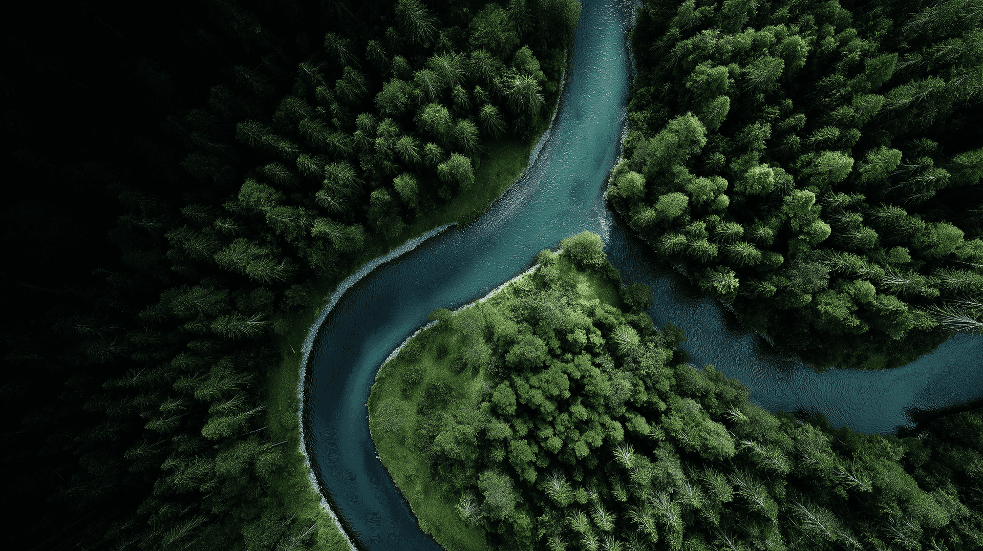 Winding River Through Forest Wallpaper