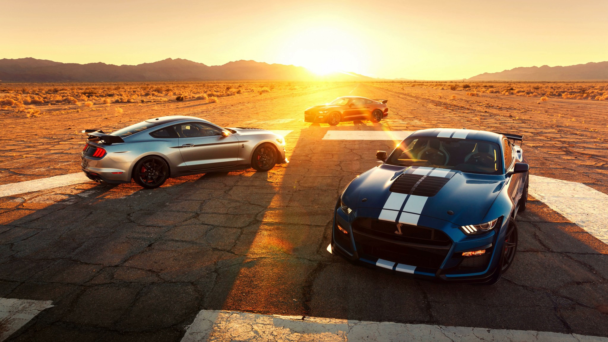 Ford Mustang Shelby Desert Sunset Wallpaper