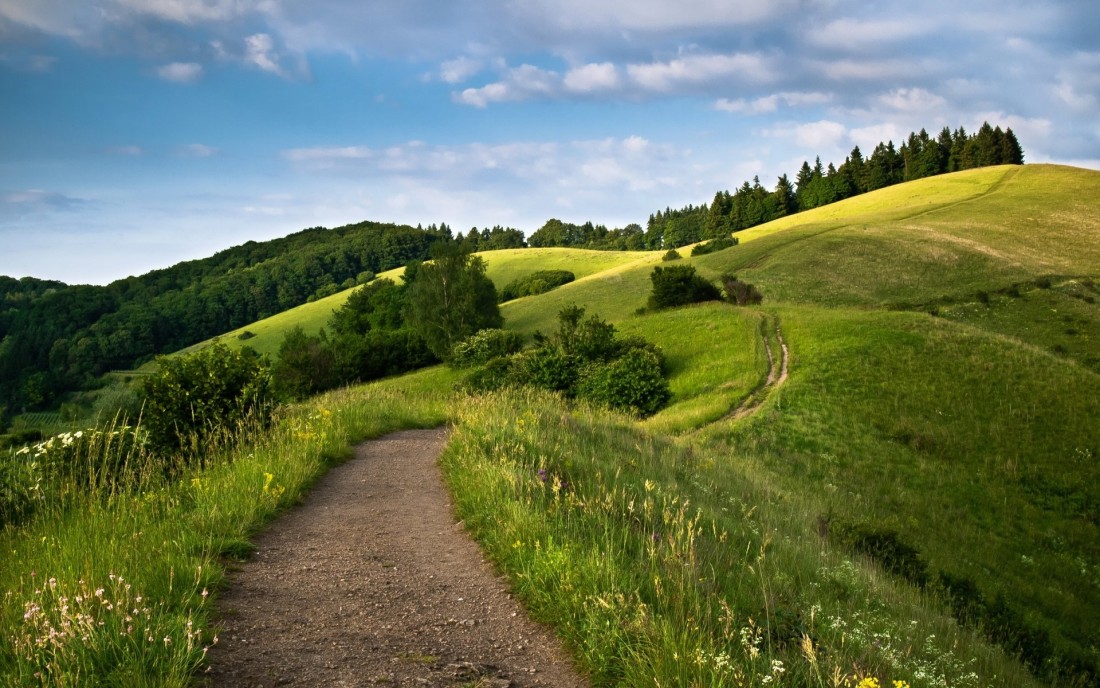 green-countryside-path-wallpaper-1920×1200