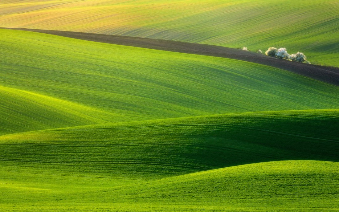 layered-green-farmland-wallpaper-1920×1200
