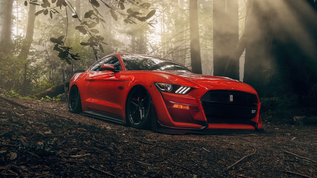 orange-mustang-gt-forest-wallpaper-5120×2880