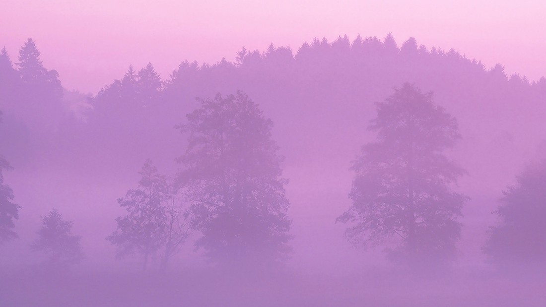 pink-misty-forest-wallpaper-3840×2160
