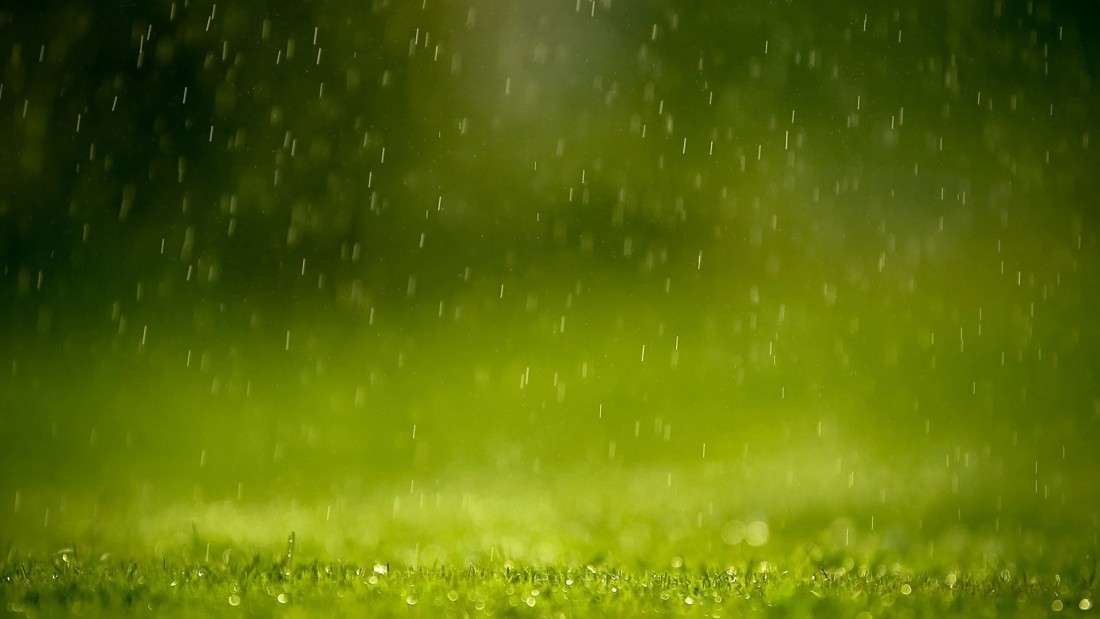rain-grass-wallpaper-green-nature-background-1920×1080
