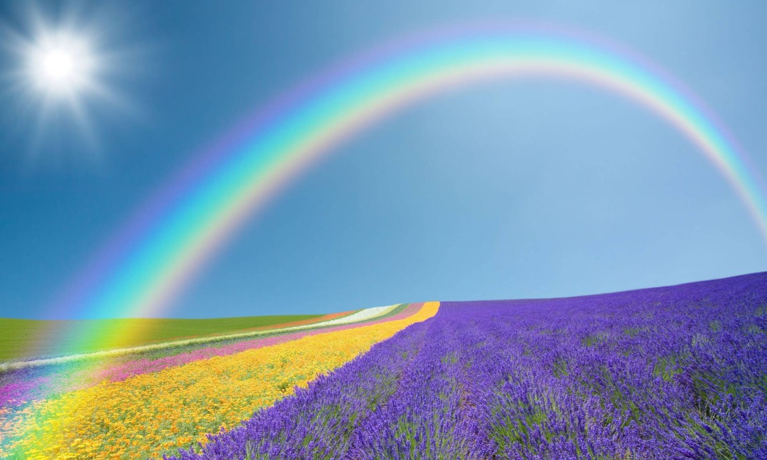 rainbow-lavender-field-wallpaper-1920×1152