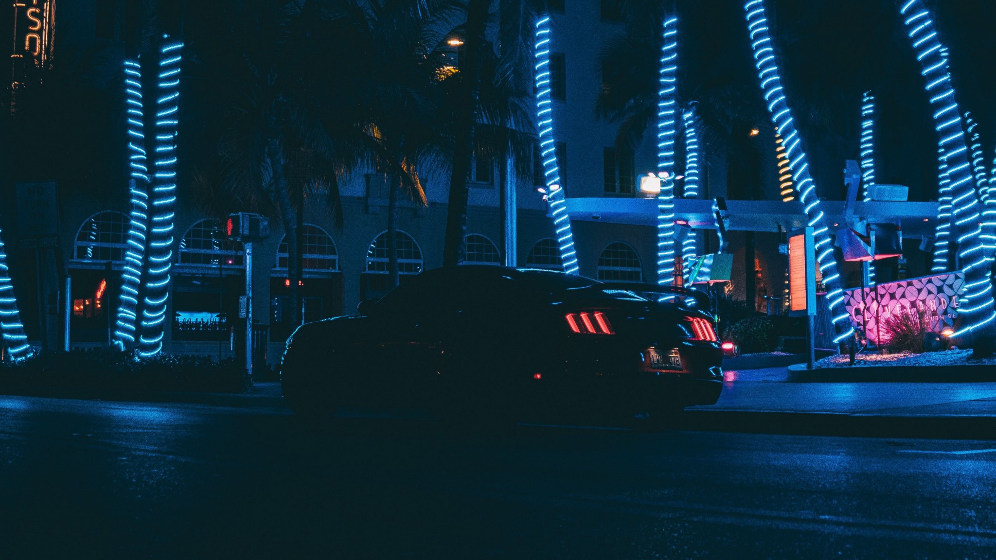 4K Neon Night Car Wallpaper