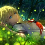 Anime collection preview