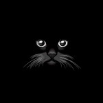 Animals collection preview