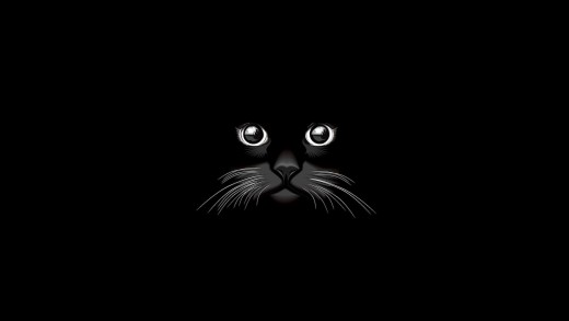 Black Cat Eyes AMOLED Wallpaper