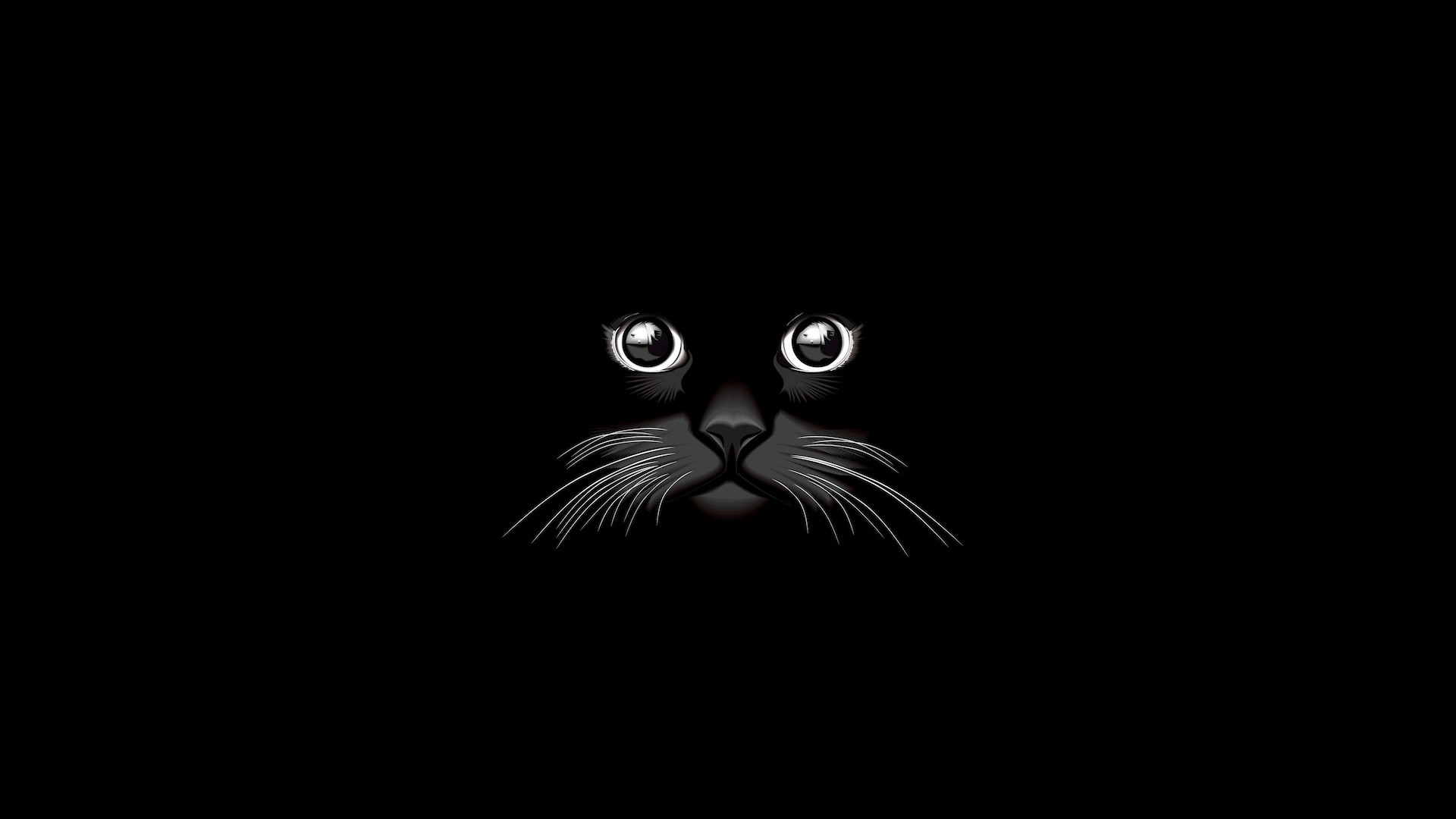 Black Cat Eyes AMOLED Wallpaper – free HD wallpaper