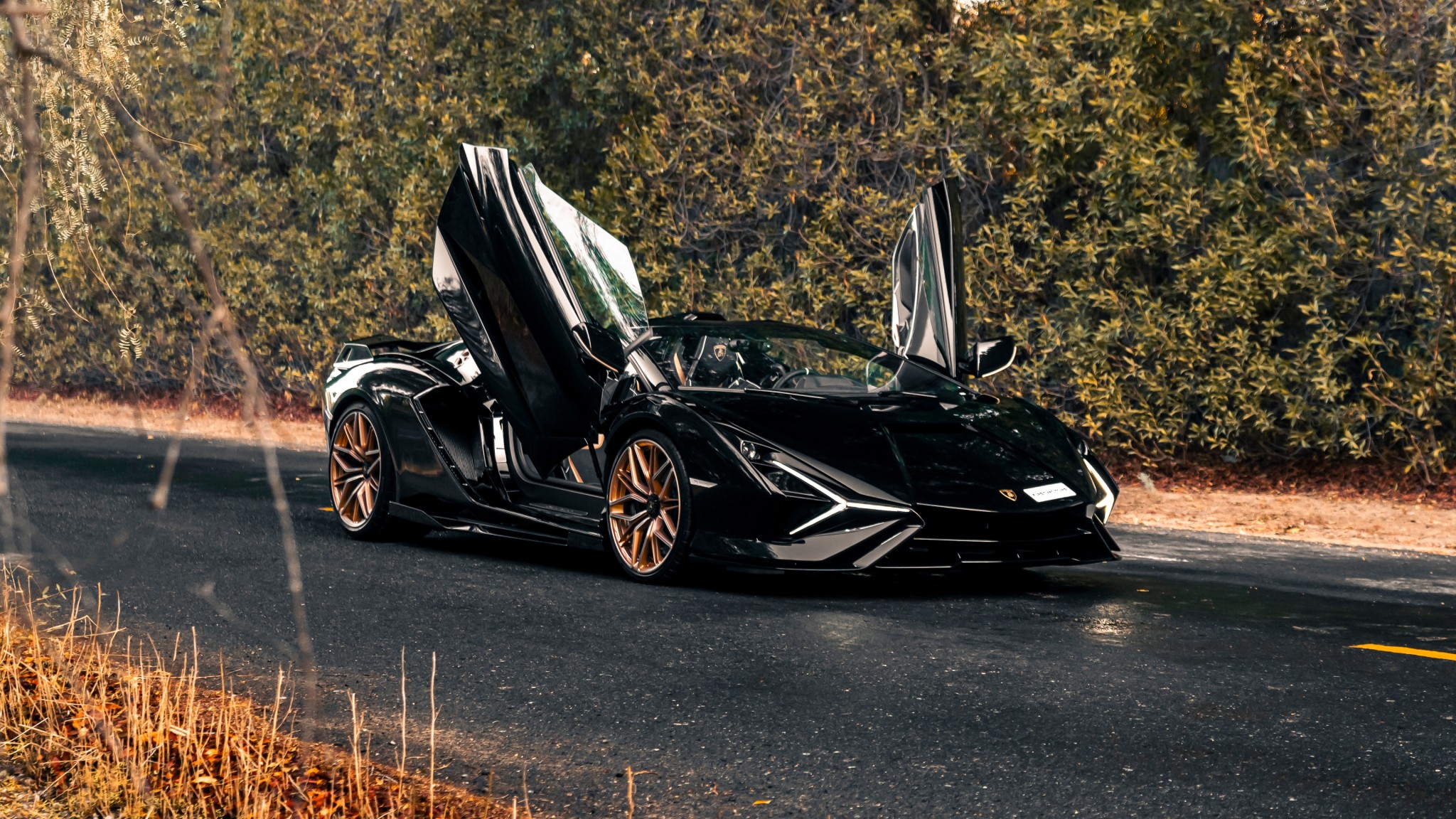 Black Lamborghini Sian Roadster 4K Wallpaper