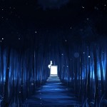 Anime collection preview