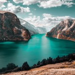 Nature collection preview
