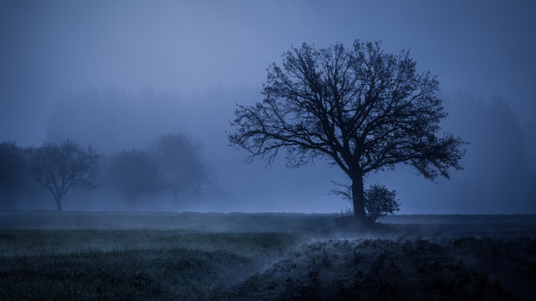foggy-blue-tree-landscape-wallpaper-3840×2160