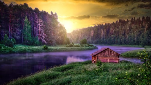 Golden Forest River Cabin Wallpaper