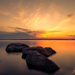 Nature collection preview