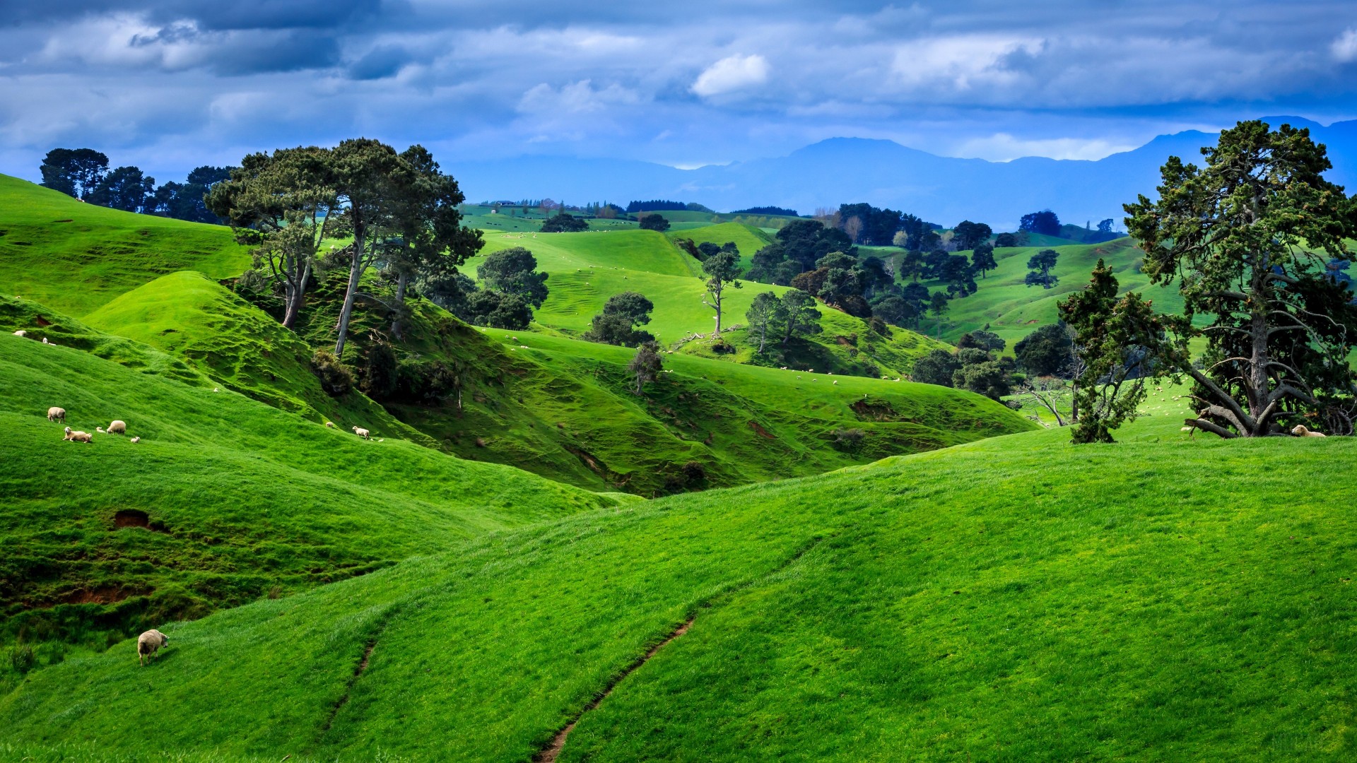 Green Countryside Hills 4K Wallpaper – free HD wallpaper