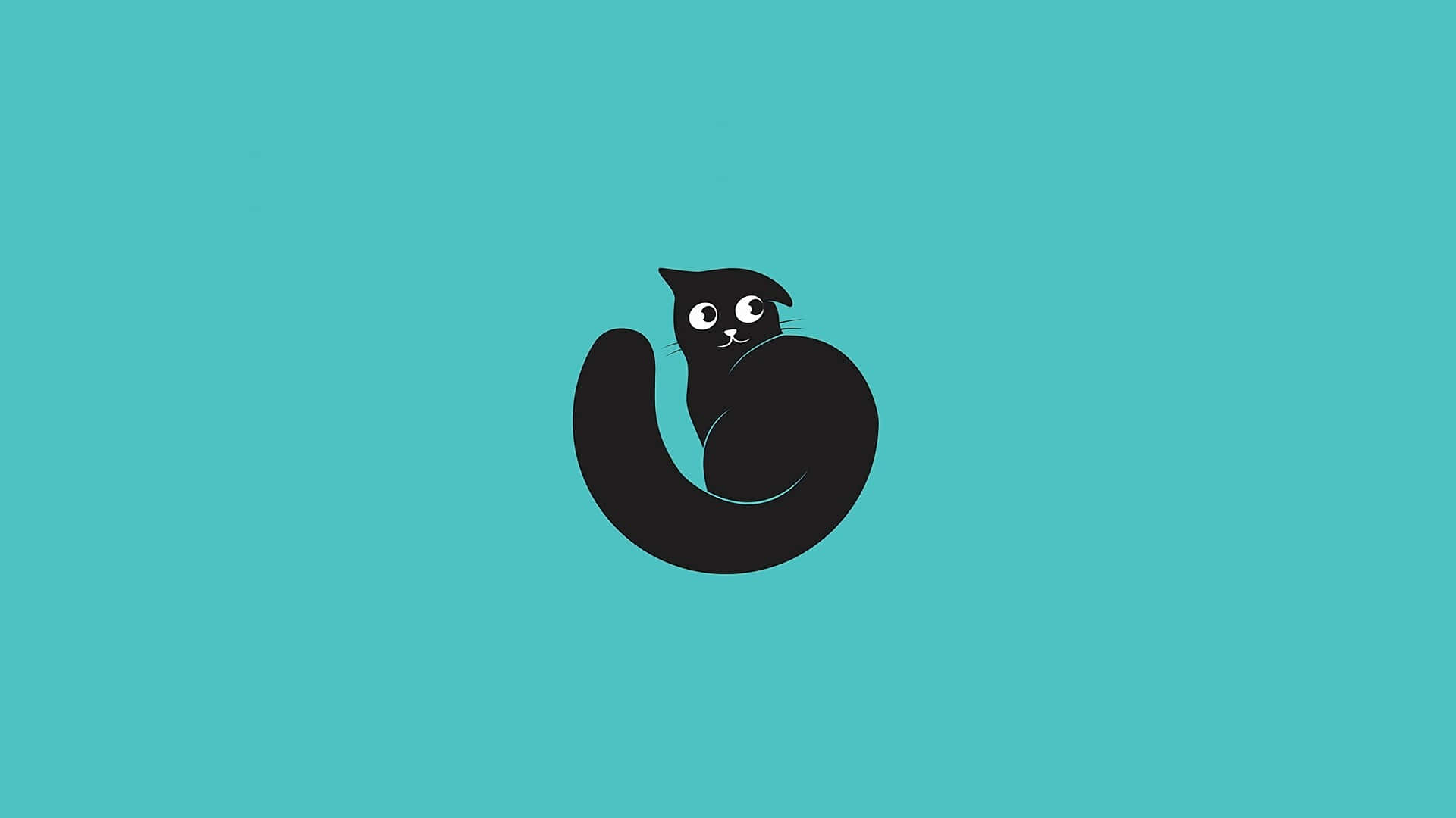 Minimal Black Cat Cyan Wallpaper