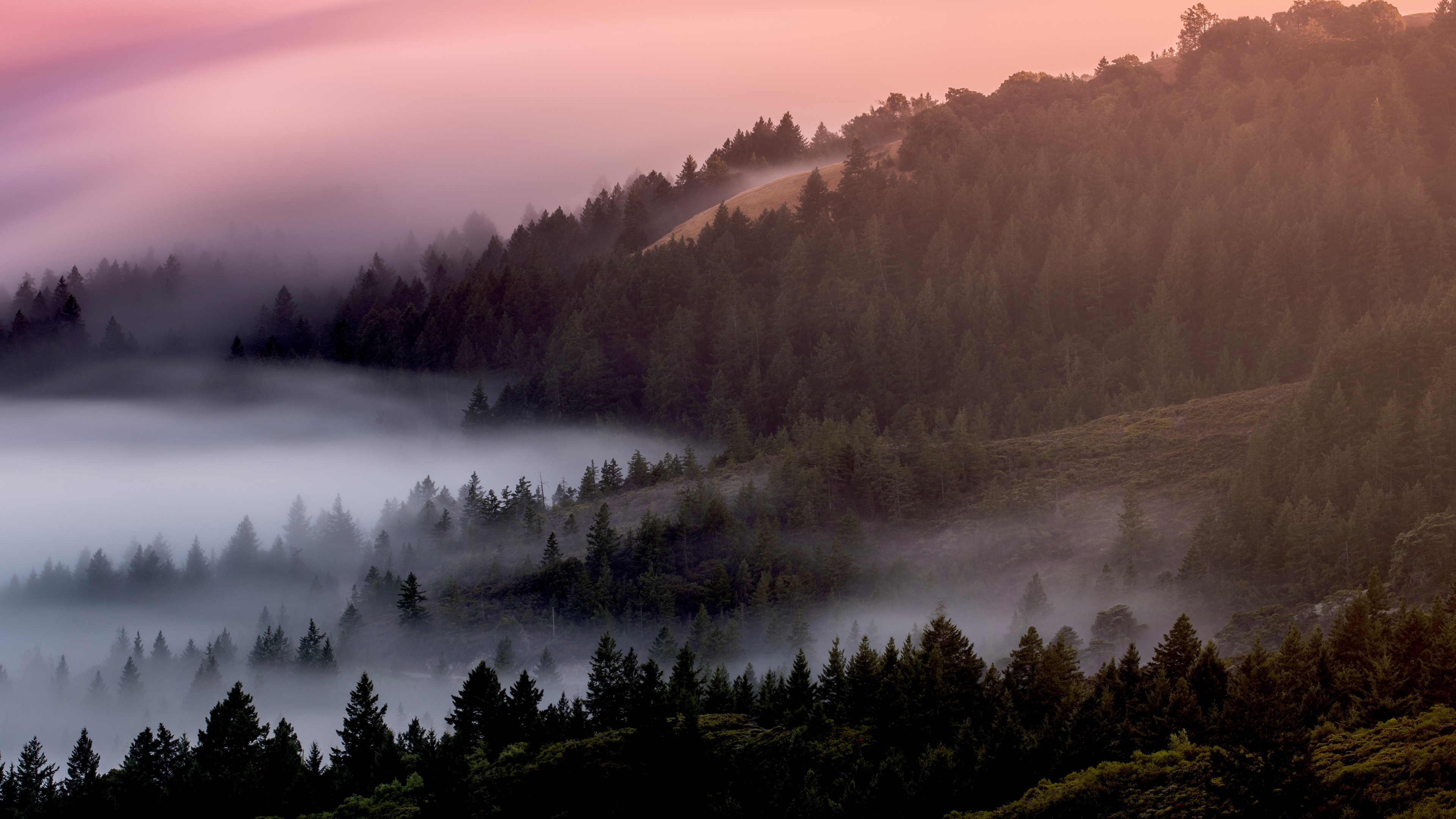 Misty Forest Hills Wallpaper – free HD wallpaper