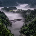 Nature collection preview